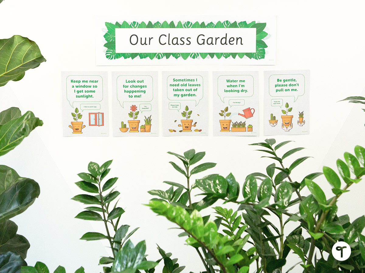 class garden care posters