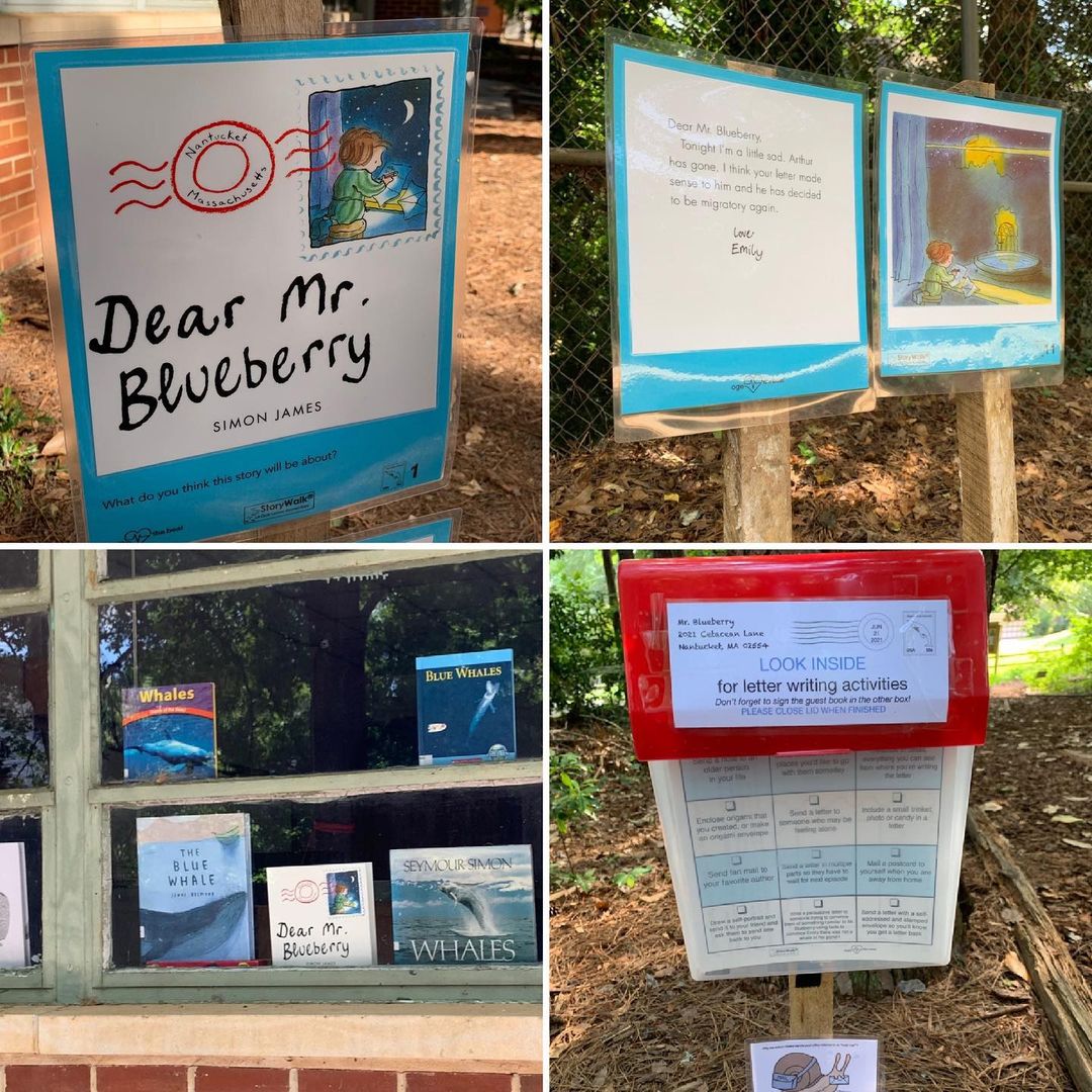 Dear Mr Blueberry Story walk