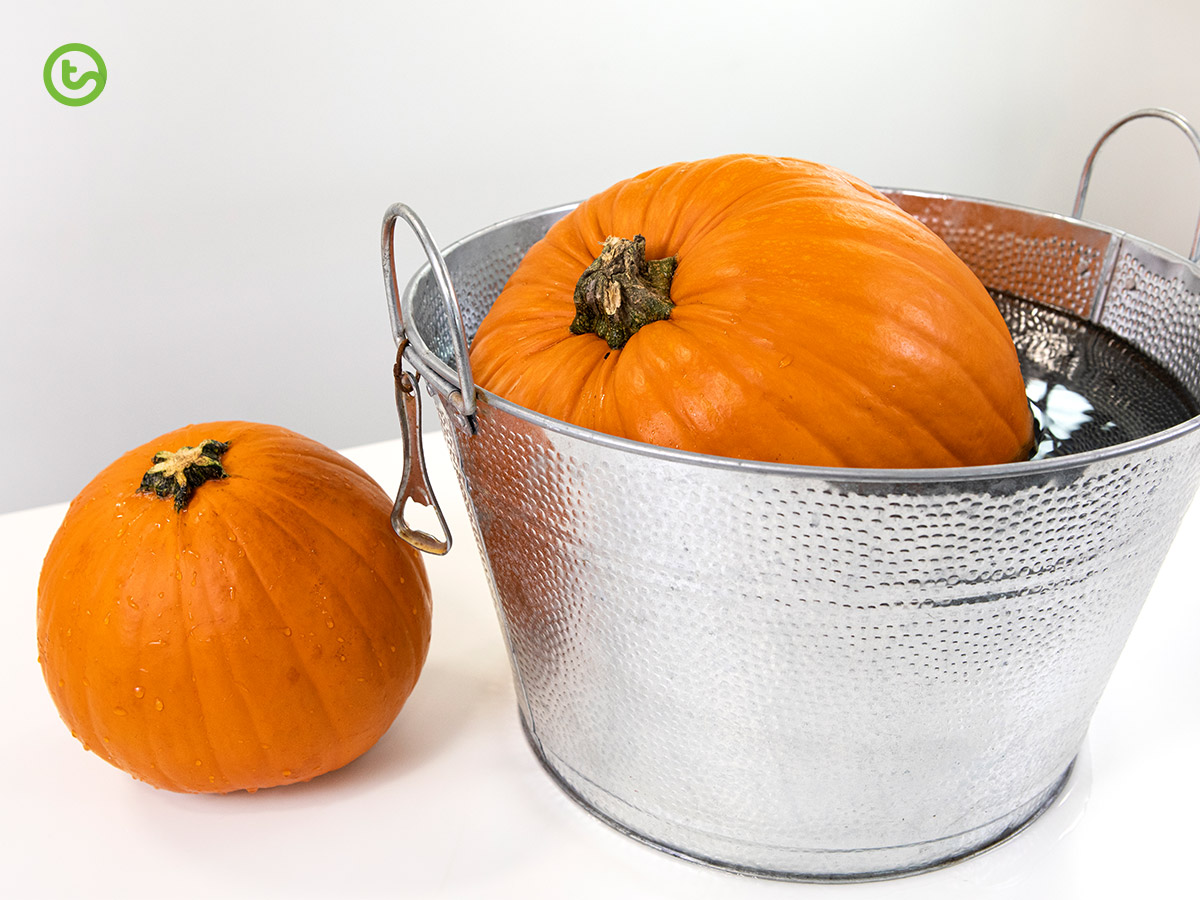 Pumpkin Science - Sink or float?