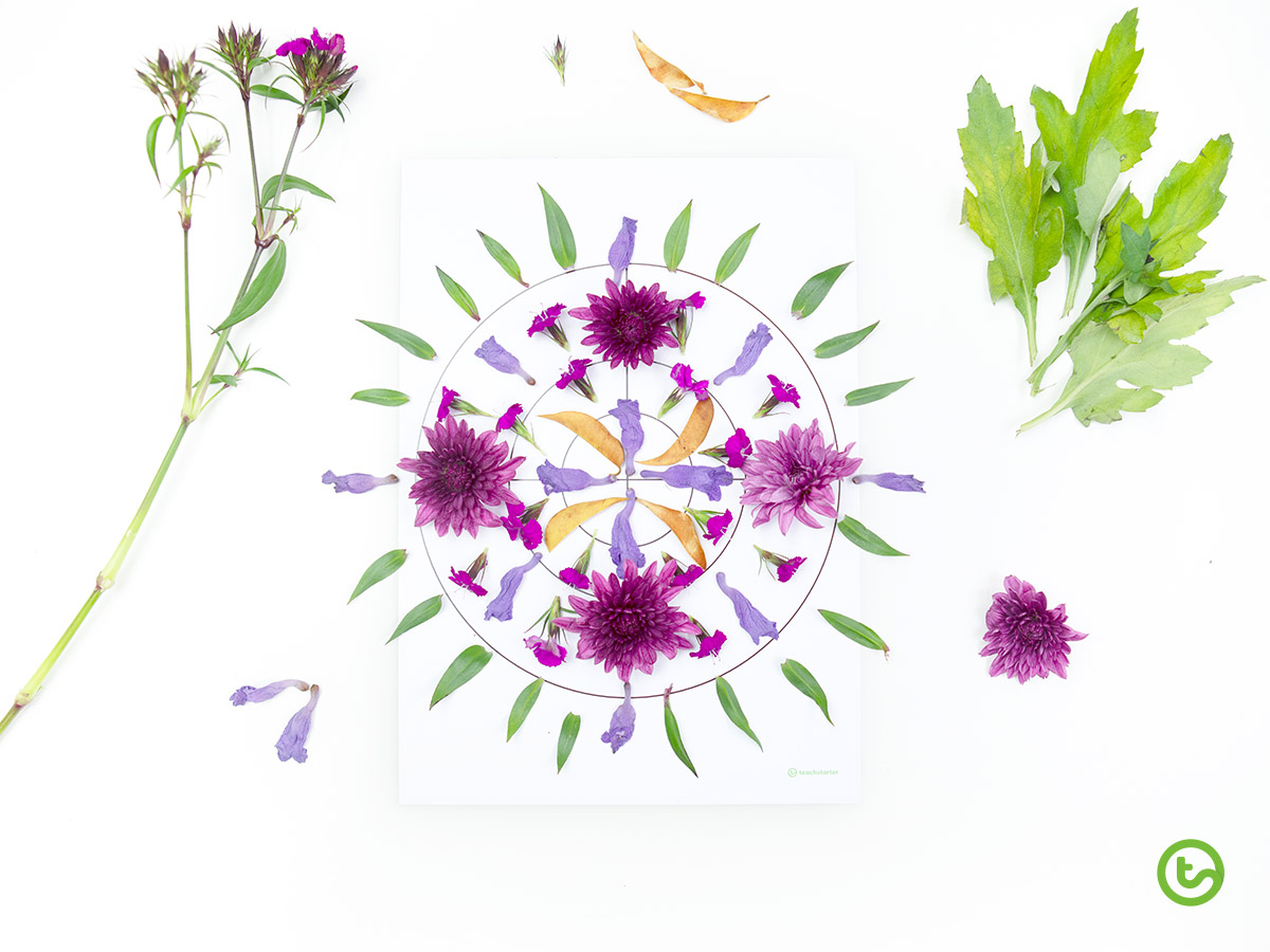 Using Natural Resources in the Classroom - Flower Mandala