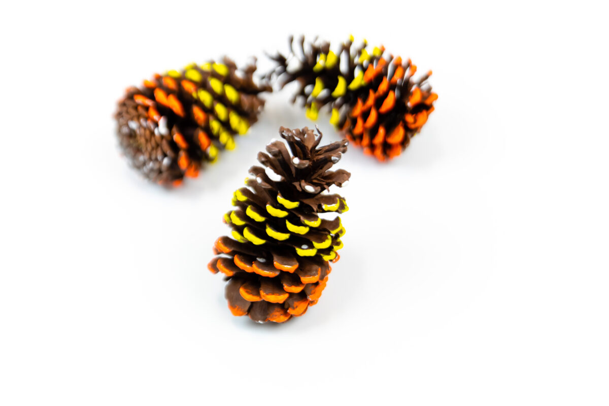 pine cones decorated to make placecard holders