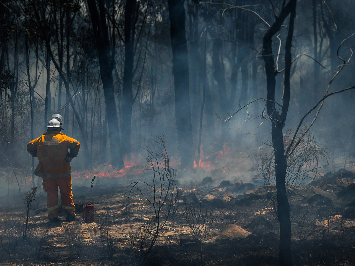 Bushfire Relief - Help the Firefighters
