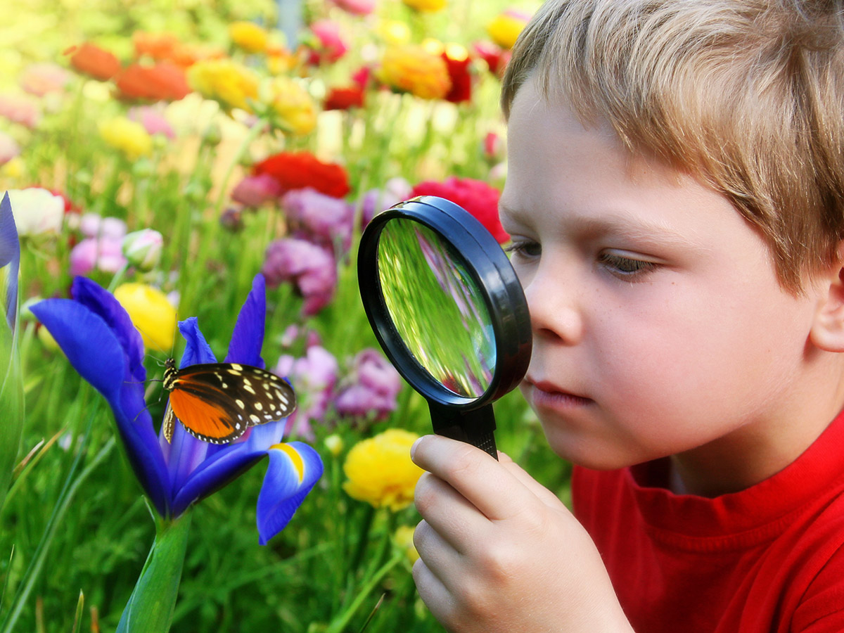 Young boy looking at butterfly