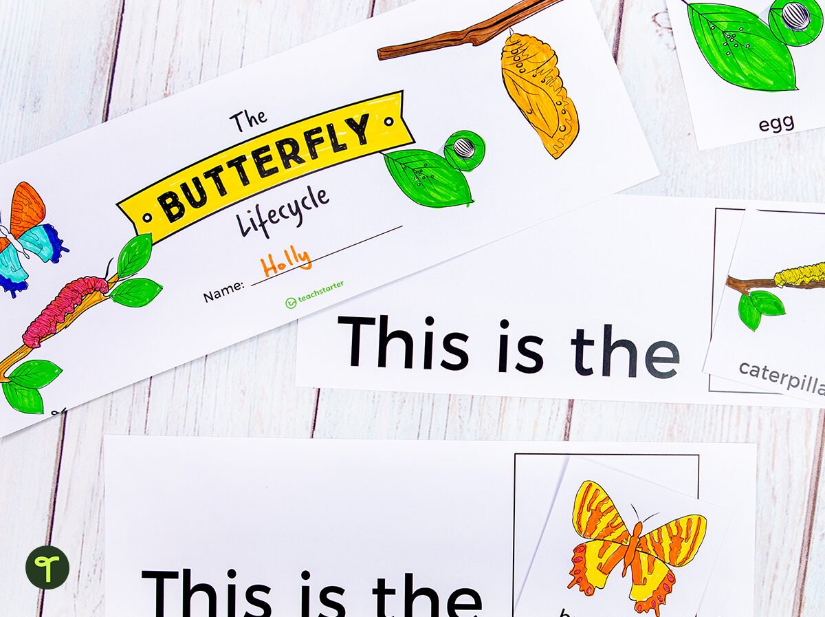 butterfly lifecycle activities