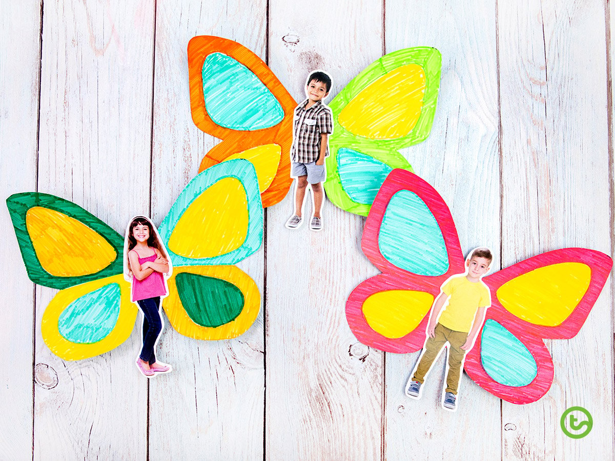 Student butterfly display