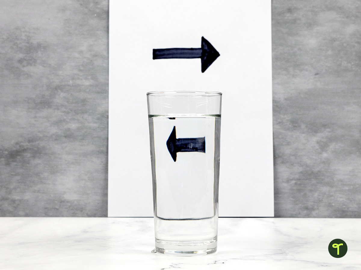 refraction of light science activity for kids