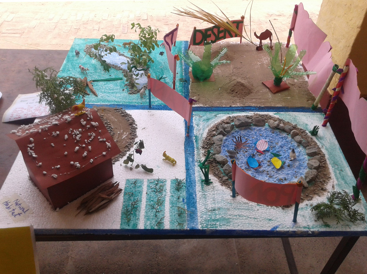 World Environment Day 2020 - Make a Diorama