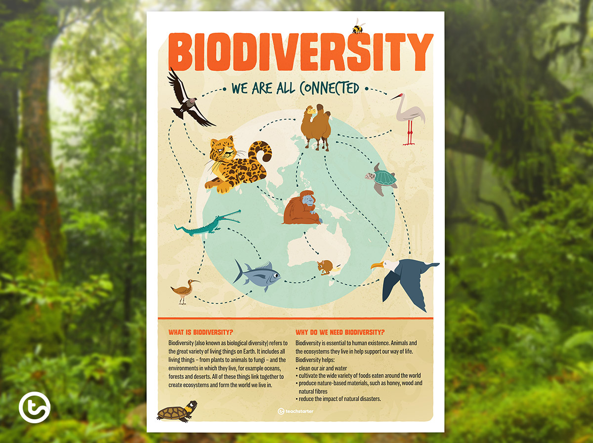 biodiversity poster ideas