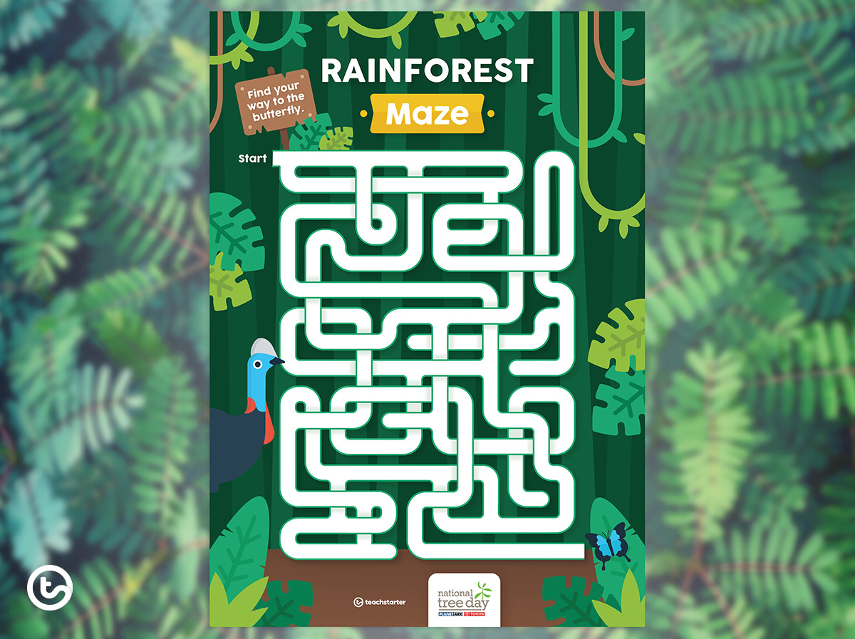 Rainforest Maze
