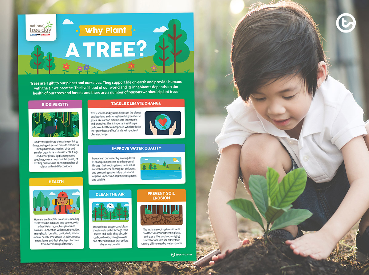 Why Plant A Tree for National Tree Day