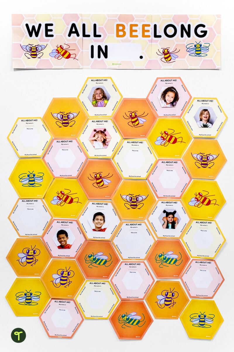 All About Me - Beehive Bulletin Board Display