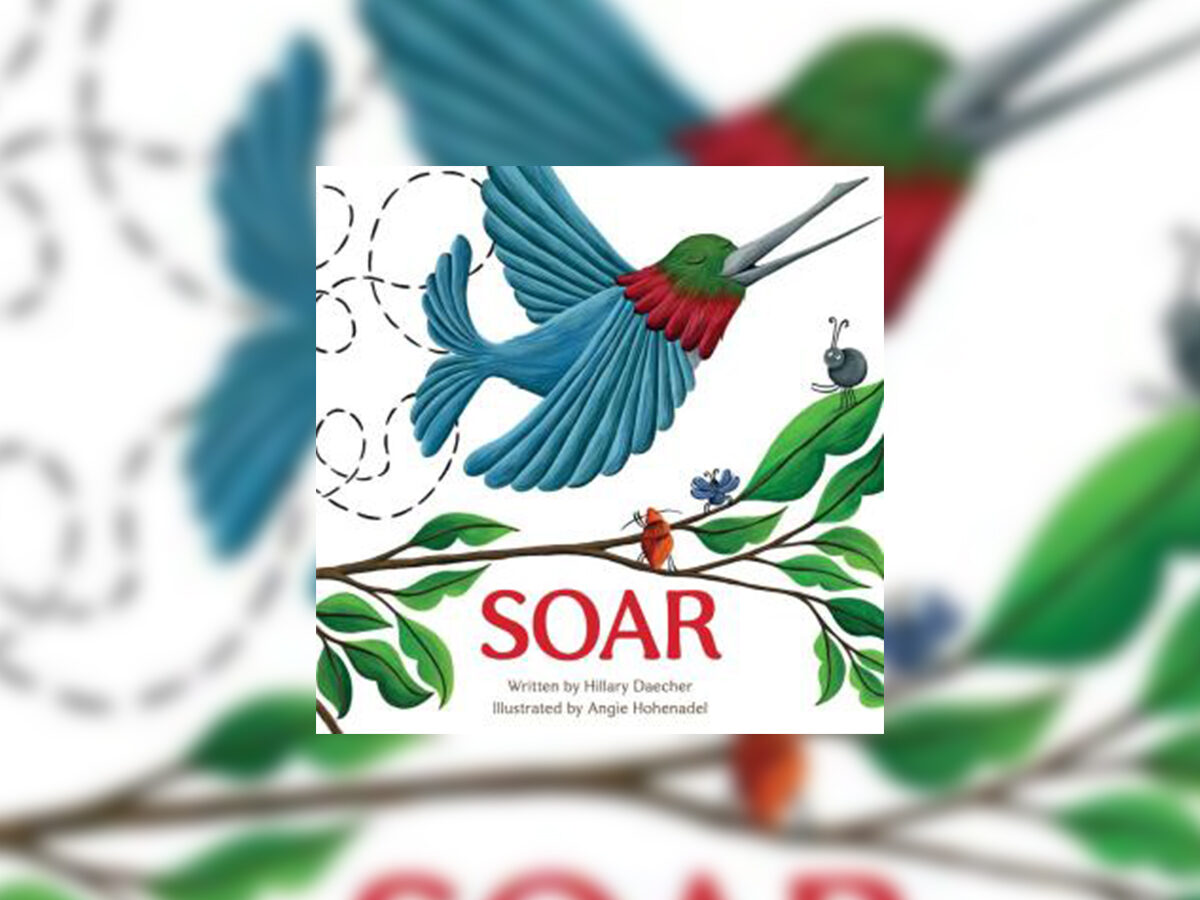 Soar book