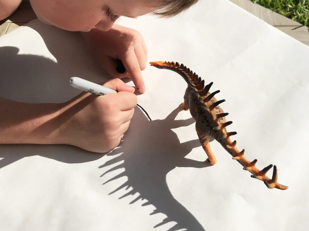 dinosaur shadow drawing activity