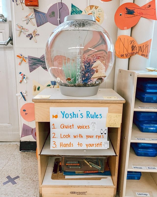 fish pet in classroom rules