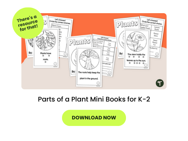 parts of a plant mini book on an orange background with two green bubbles with text reading 