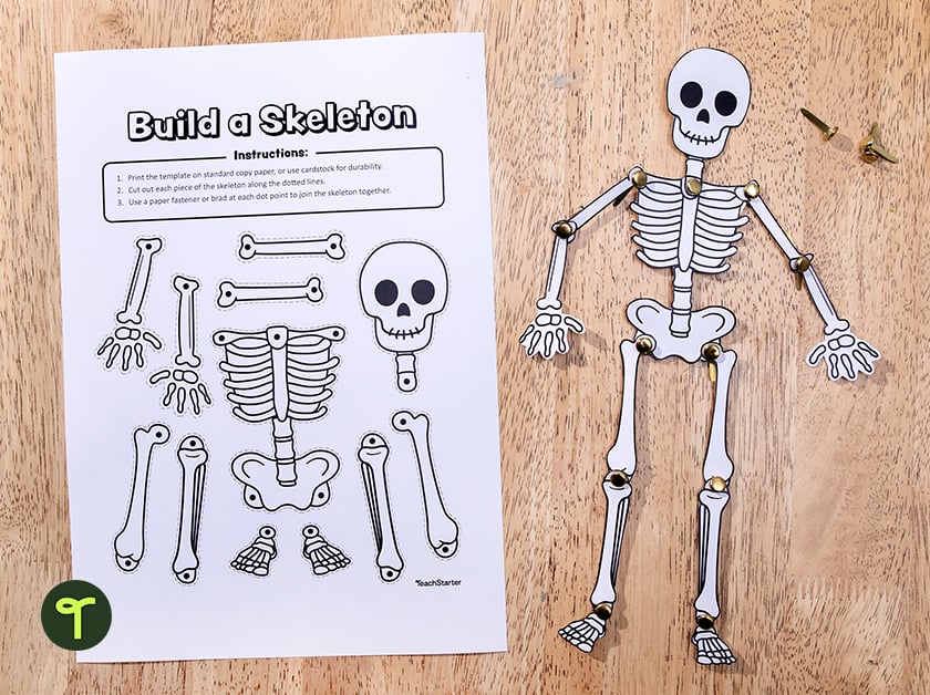 Build a skeleton activity for Halloween - teach starter