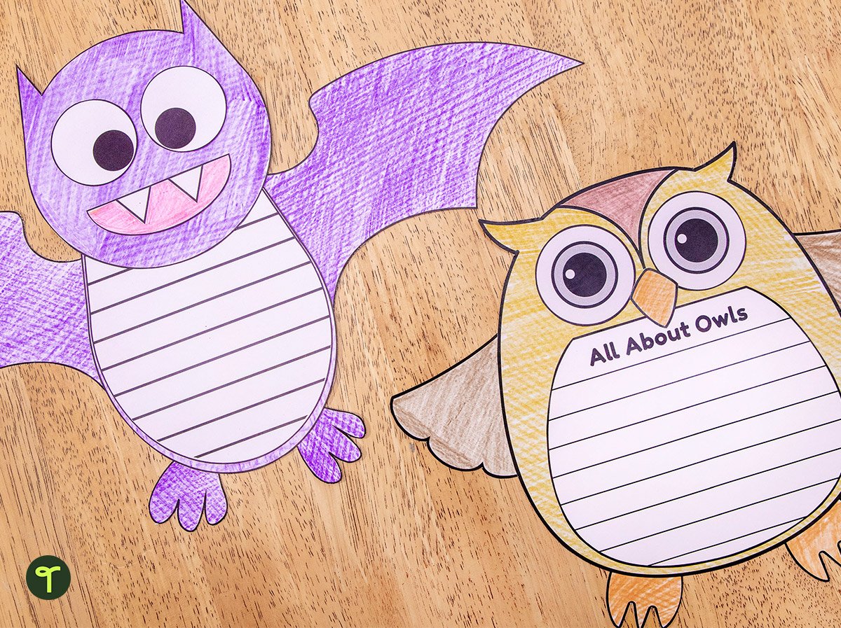 Build a bat halloween writing activity