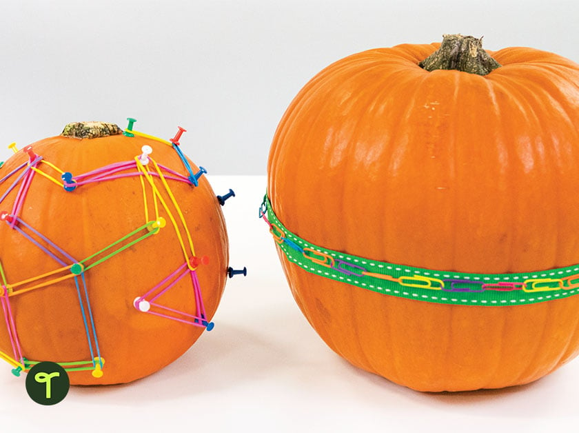 halloween math activity using real pumpkins