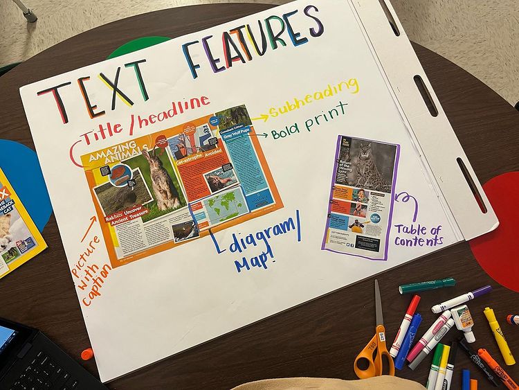 Text features definition anchor chart