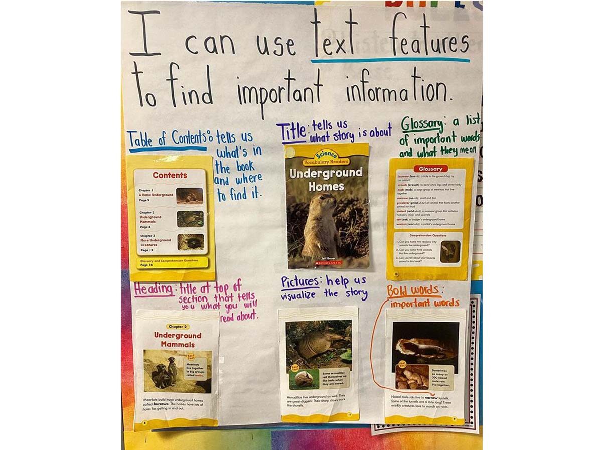how to use text features anchor chart