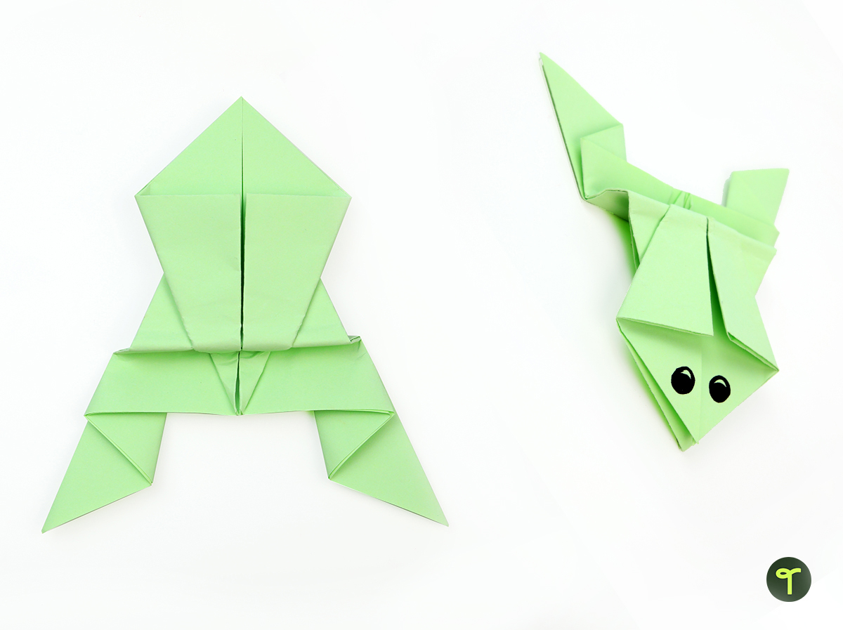 Origami Frog StepByStep Instructions Teach Starter