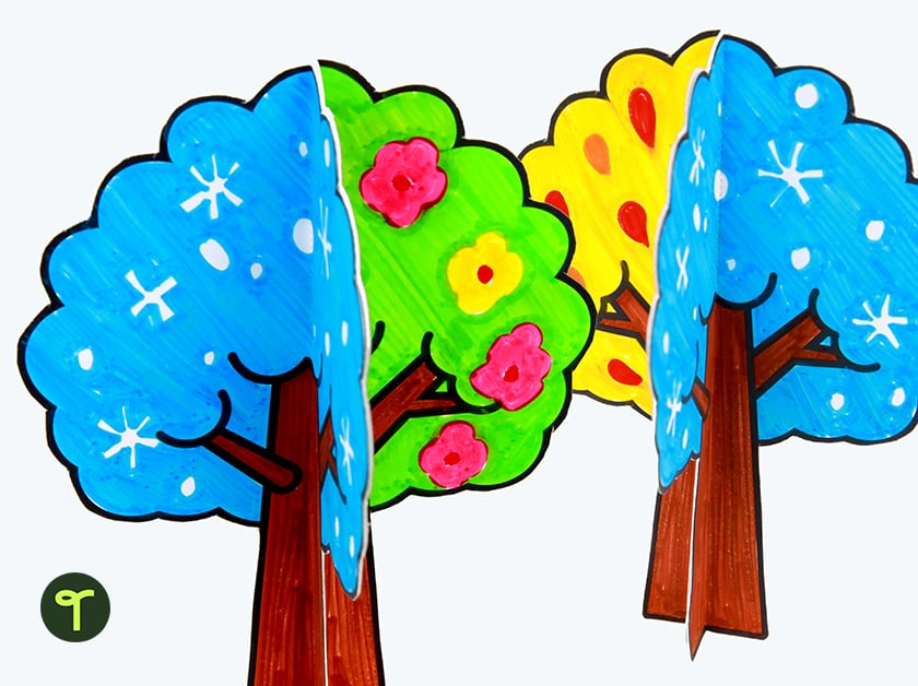 2 trees show the way the seasons affect them