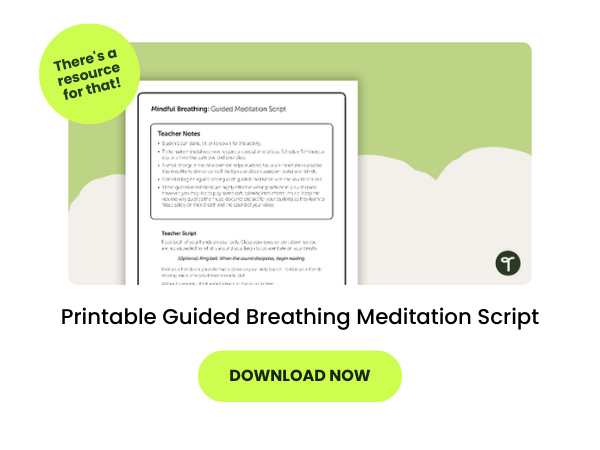 5 Minute Mindfulness Activities for the Classroom - Free Emotion Check In -  Your Therapy Source