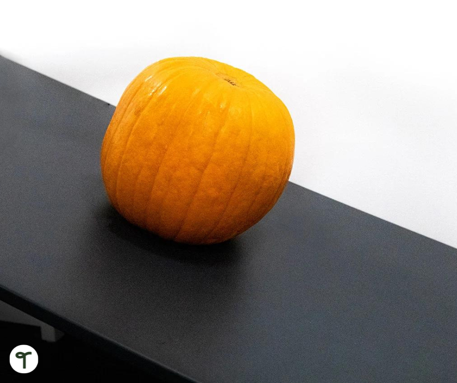 Rolling pumpkin on black ramp. - Teach Starter