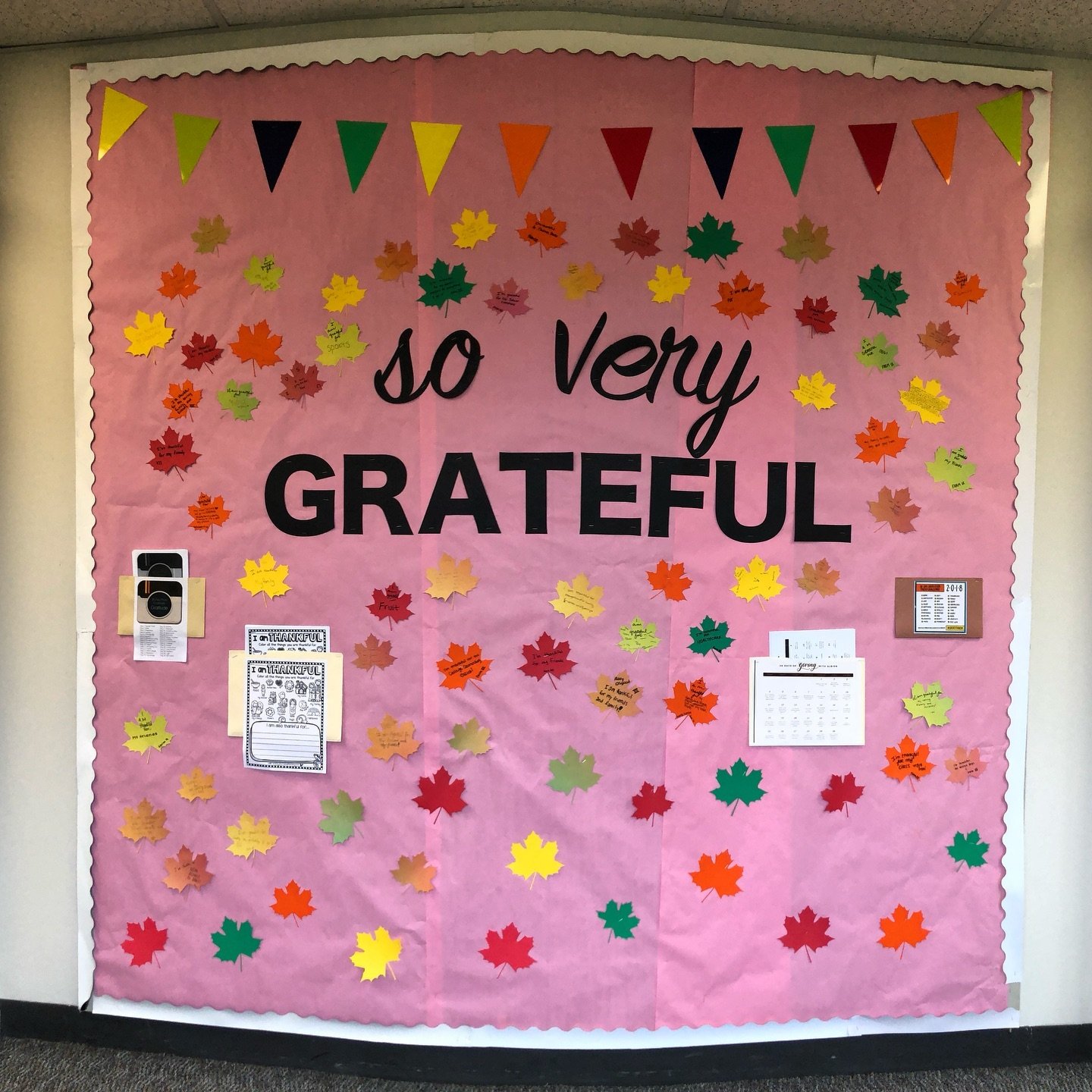 So Very Grateful Thanksgiving bulletin board - Teach Starter