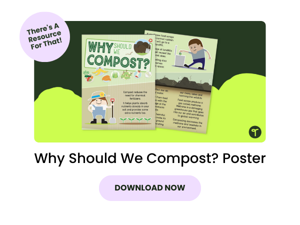 Why Should We Compost Poster with pink 