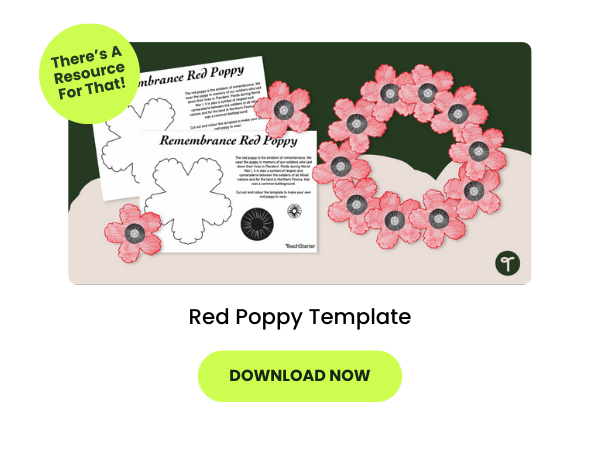 A primary teaching resource called 'Red Poppy Template'