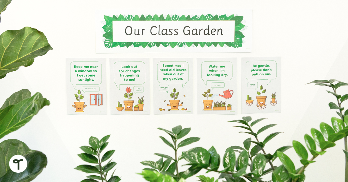 Our Class Garden Posters - Teach Starter
