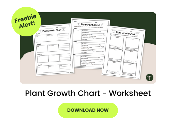 Plant Growth Chart Worksheet preview with green 