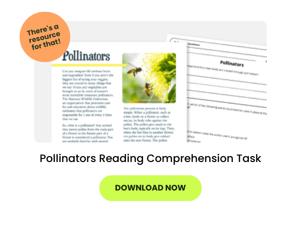 pollinators comprehension task