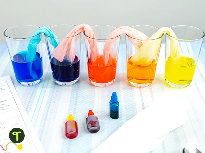 plastic cups filled with rainbow colored liquids and paper towels sit on a table beside food coloring bottles and experiment instructions