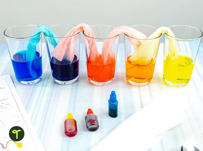 Inverted Bottles: Physics & Chemistry Science Activity