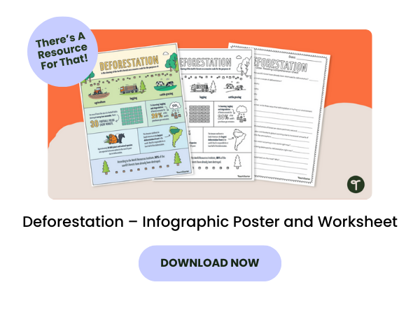 Deforestation – Infographic Poster and Worksheet