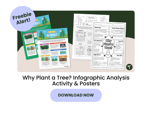 Why Plant a Tree Infographic Analysis Activity Posters with purple 
