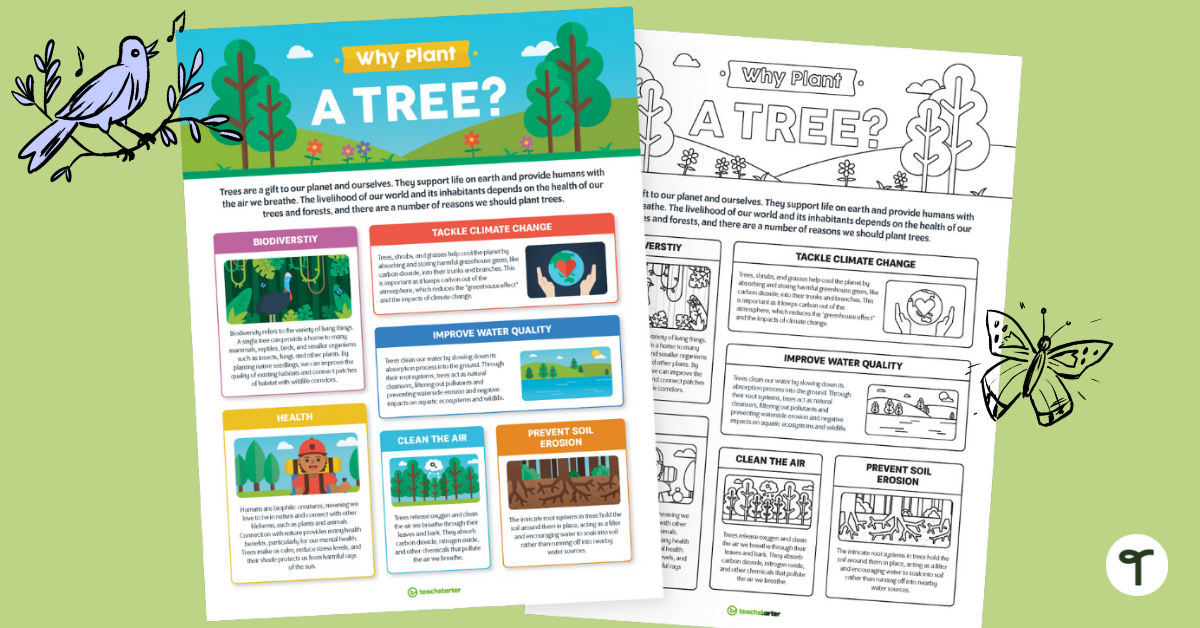 Why Plant a Tree Poster Teach Starter