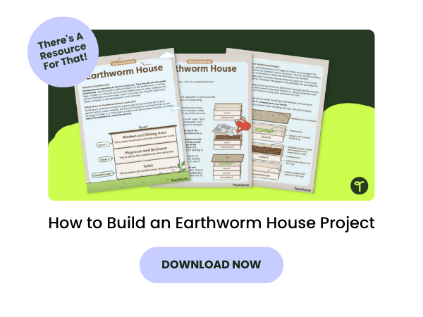 How to Build an Earthworm House Project with purple 