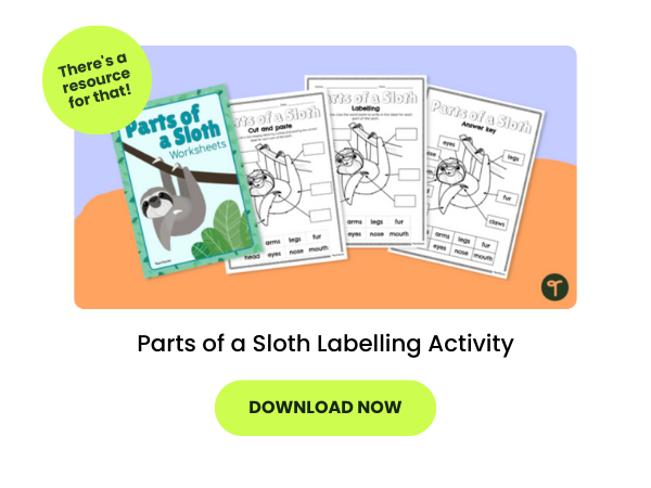 worksheets from a sloth labelling activity on a purple and orange background with two bubbles that read 'there's a resource for that' and 'download now'