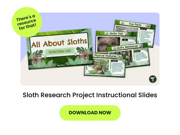 examples of Sloth Research Project Instructional Slides on a purple and beige background