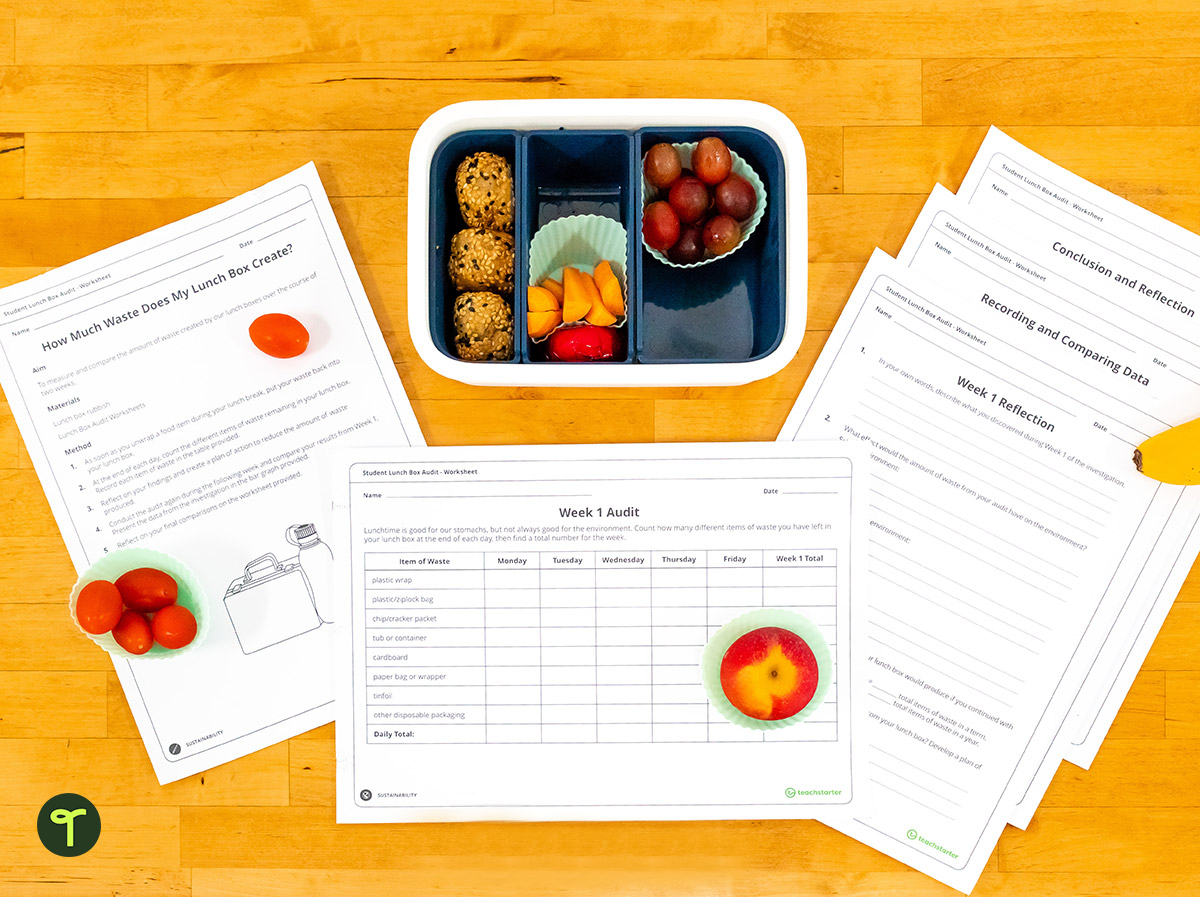 A lunch box and and lunchbox audit worksheet laid out on a student desk