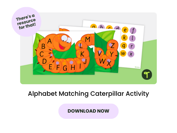 An image of an alphabet matching caterpillar activity