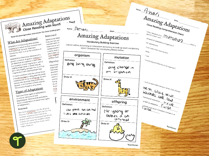 Adaptation worksheets