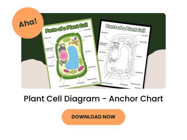 Parts of a plant cell poster preview in color and black and white.