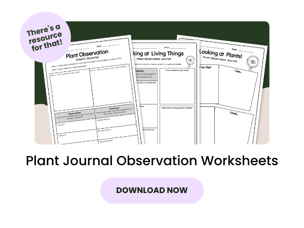 Plant journal observation worksheet preview with pink 