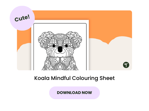 A koala mindfulness colouring activity 