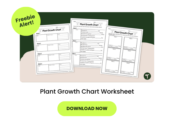 A primary school resource called: Plant Growth Chart Worksheet 