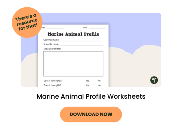 A resource for primary school kids called, 'Marine animal profile worksheets'